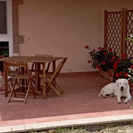 Agriturismo Lungo Albegna Manciano Zewnętrze zdjęcie