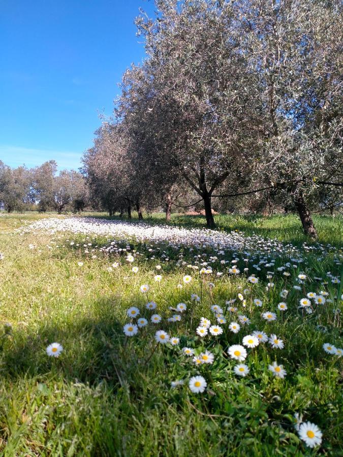 Agriturismo Lungo Albegna Manciano Zewnętrze zdjęcie