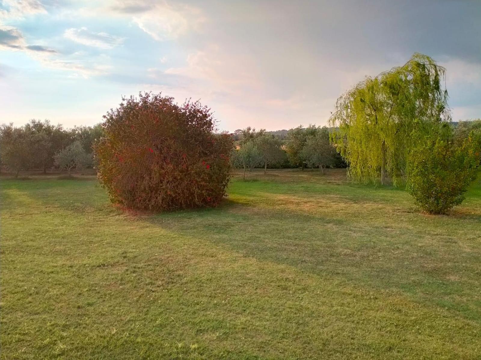 Agriturismo Lungo Albegna Manciano Zewnętrze zdjęcie